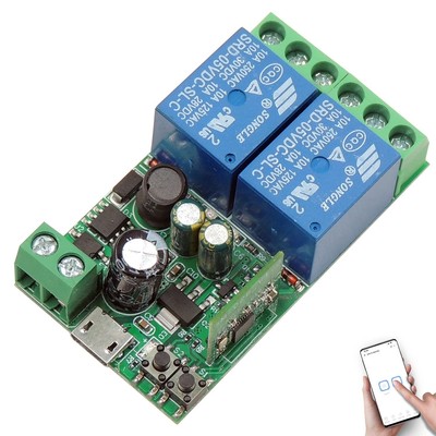 2 Channels WiFi Smart Switch, DC 5V 12V 24V 36V Passive Output Relay Module E...