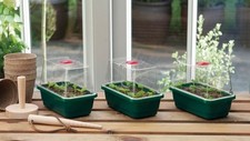 3 Mini High Dome Propagator Set Windowsill Greenhouse Seed Seedling Trays 17cm