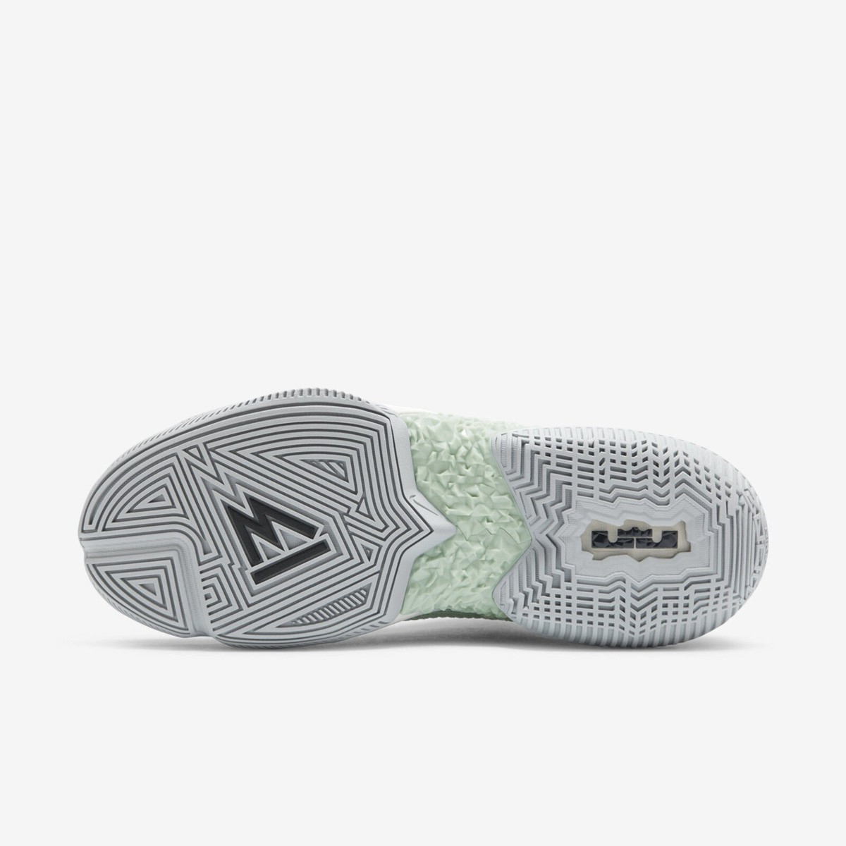 Nike Lebron Ambassador XIII 13 [CQ9329-300] Men Basketball Shoes