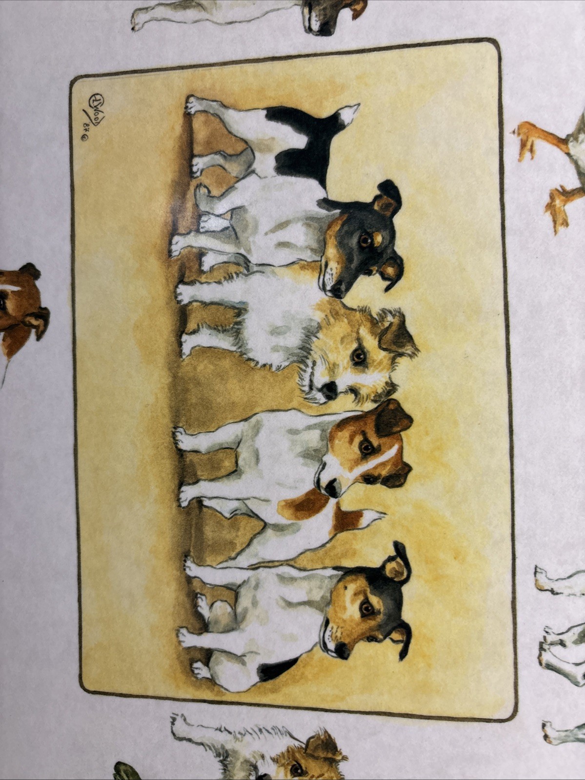 Picture 5 of 12