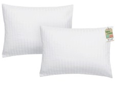 Toddler Pillow with Pillowcase 2 Pack - 13x18 Organic Cotton Hypoallergenic K