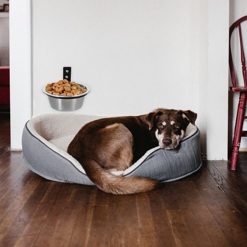 Dog Bowl Elevated Wall Mounted Pet Feeder Pets Feeding Rack Travel Water Food - Picture 10 of 12