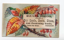 1880-90s - Baxter & Sanborn Cattle Fair Hotel Brighton Card - XL2B