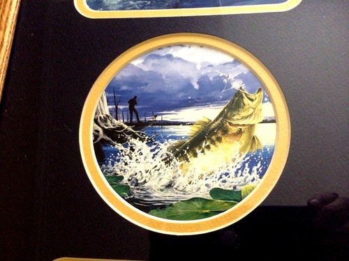 Bass Fish 3 in 1 Picture Wood Frame Under Glass Navy Matte Wall Decor - Picture 3 of 6