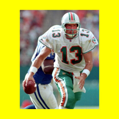 Dan Marino - Miami Dolphins #B1C273 - 8x10 Photo Printed at a Lab