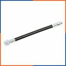 Flexible de frein Nissan KUBISTAR