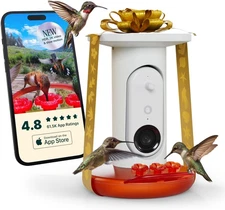 Birdbuddy Smart Non-Solar Pro Hummingbird Feeder with Camera - AI Bird Identific