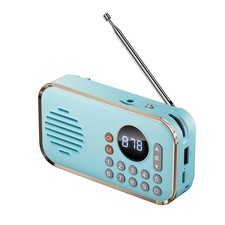 Portable FM Radio Rechargeable Small Bluetooth Speaker Surround Stereo6393