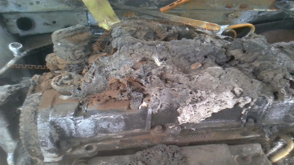 Used Front Suspension Stabilizer Bar fits: 2014 Fiat 500 Front 2 Dr AT Front Gra — 第 2/4 张图片