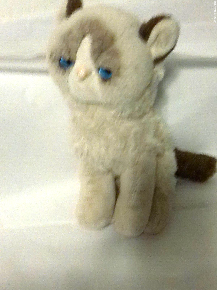 Vintage Gund Grumpy Cat 6.5