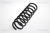 1X Fahrwerksfeder Triscan 8750 11133 FüR BMW E60 5Er 520 523 525 530 Xdrive 535