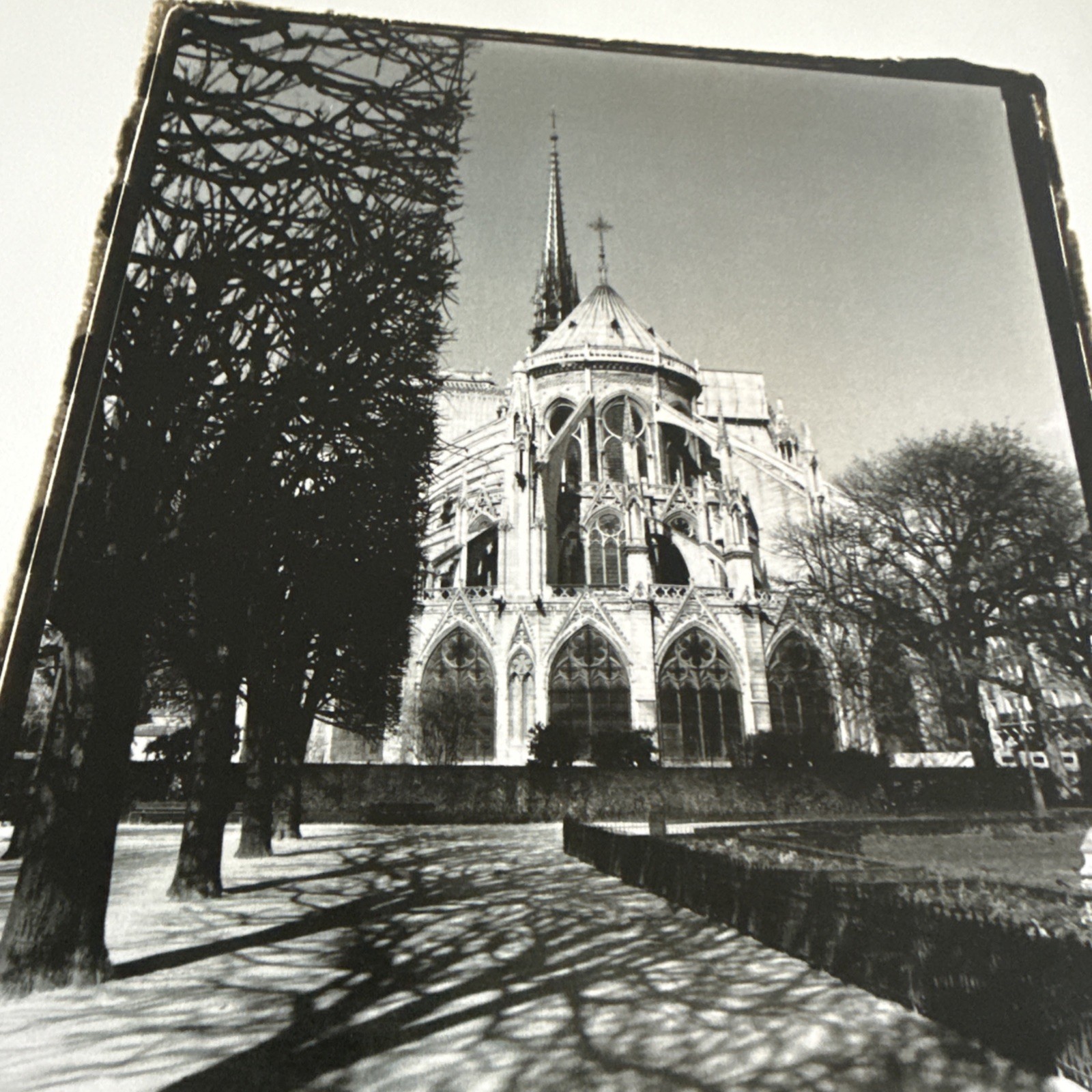 “Notre Dame Cathedral I” Laura DeNardo. - 19x13 Inch