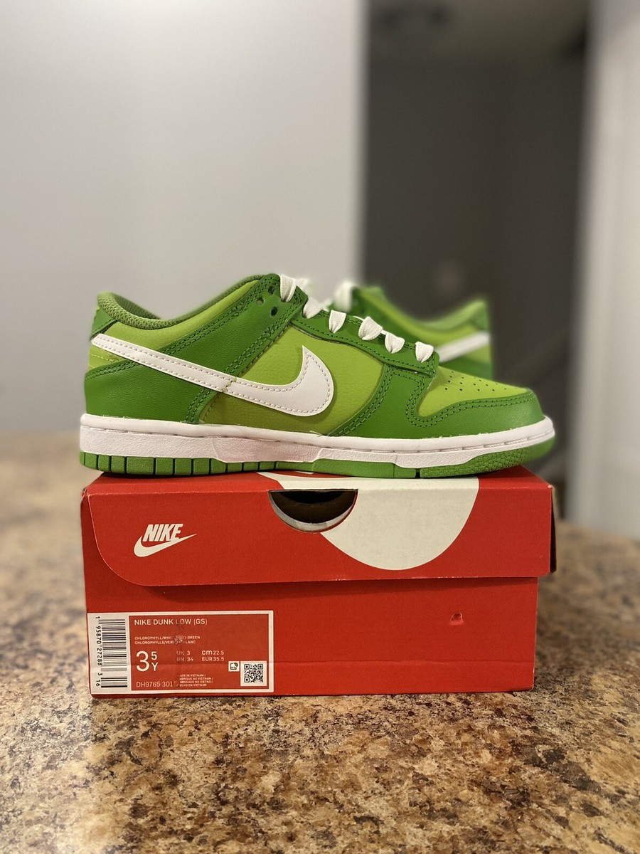 シューズ NIKE SB DUNK LOW \"Chlorophyll NIKE DUNK LOW CHLOROPHYLL – epsneakerscene