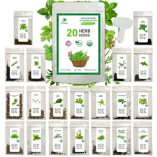 20 Culinary & Medicinal Herbs - 7000+ Heirloom, Open-Pollinated, Non GMO Seeds