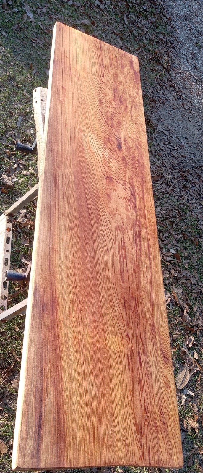 60" Long! Underwater Recovered Table Desk Top REAL Sinker Cypress Craft Wood USA