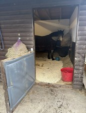 Grey Equine Protection Barrier Stable Door Kick Guard for Horses