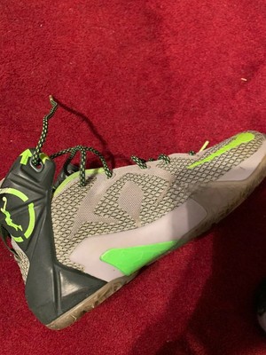 nike lebron 12 dunk force