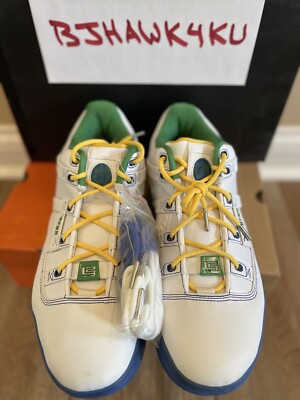 lebron james size 3