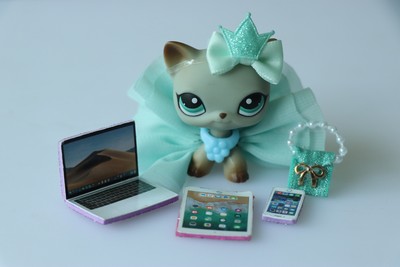 ebay lps accessories