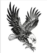 Temporary Tattoo 72 Bald Eagle Wings Body Art Stickers Removable Waterproof