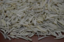 200 PCS NATURAL BROWNISH DENTALIUM APRINUM TUSK SHELLS