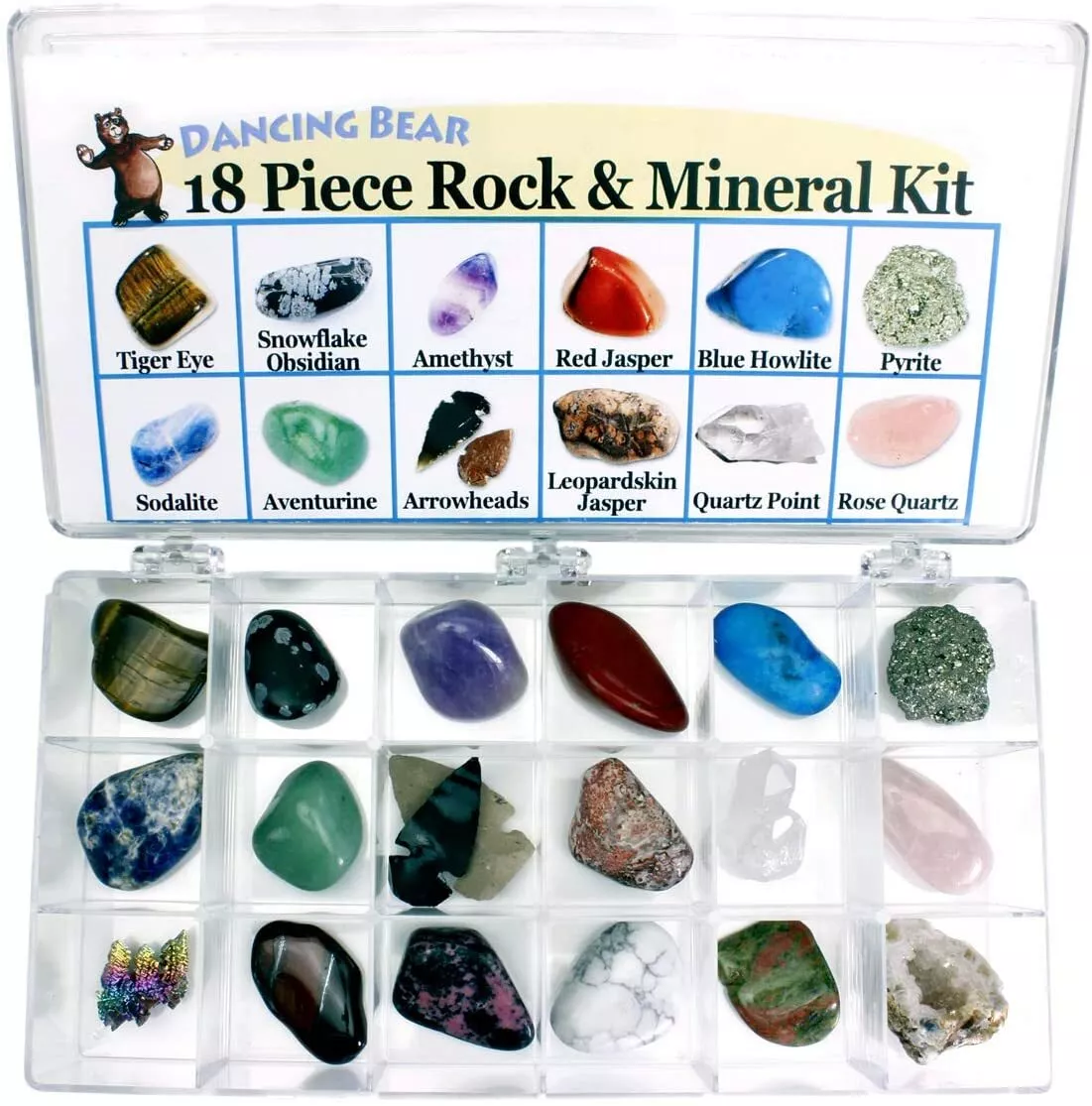 15 Piece Rock & Mineral Collection & Display Box – Dancing Bear's Rocks and  Minerals