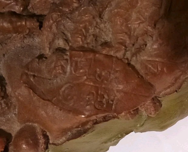 Picture 15 of 21