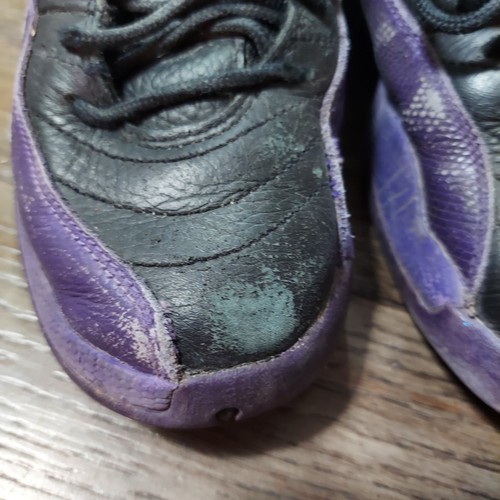 Nike Air Jordan 12 Retro Field Purple GS Youth Size 7Y Womens 9 153265-057 - Picture 7 of 8