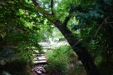 Photo A3 The Fish Pond viewed from Stalker Bridge Goddards' Green No wat c2018