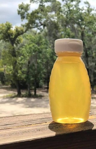 2026 Raw Georgia Tupelo Honey USPS  Shipping Included. From the beekeeper.