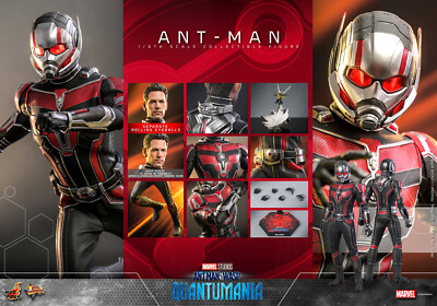 Hot Toys MMS690 Ant-Man and the Wasp Quantumania Ant-Man 1/6 Figure In Stock