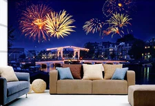 3D Nice Fireworks 3647 Wallpaper Mural Wall Print Wall Wallpaper Murals US Coco