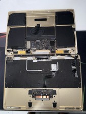 MacBook Retina 12" A1534 EMC 2746 poggiapolsi tastiera USA batteria oro grado B