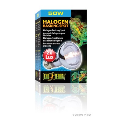 Exo Terra Halogen Basking Spot Lamp 50 Watt | eBay