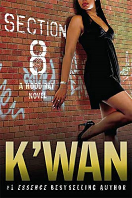 Section 8 - Paperback NEW K'wan 2009-11-19