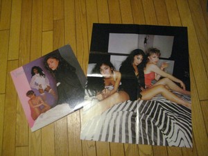 Vanity 6 Lp With Poster Vinyl Prince Very Rare Promo Ebay