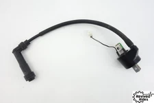 09-25 Kawasaki Klx250 Klx250s Klx250sf Klx300 Klx300sm Oem Ignition Coil 21121-0