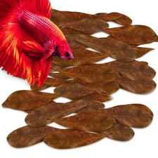 SunGrow 100 Pcs Mini Catappa Indian Almond Leaves for Betta Fish Small