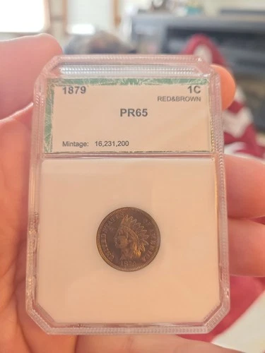 1879 Indian Cent Proof Red/brown See Photos