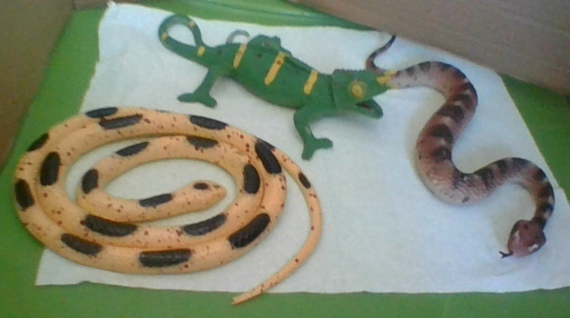3 Reptiles Sidewinder Snake, Chameleon Lizard, Spotted Coiled Snake Figurine Toy