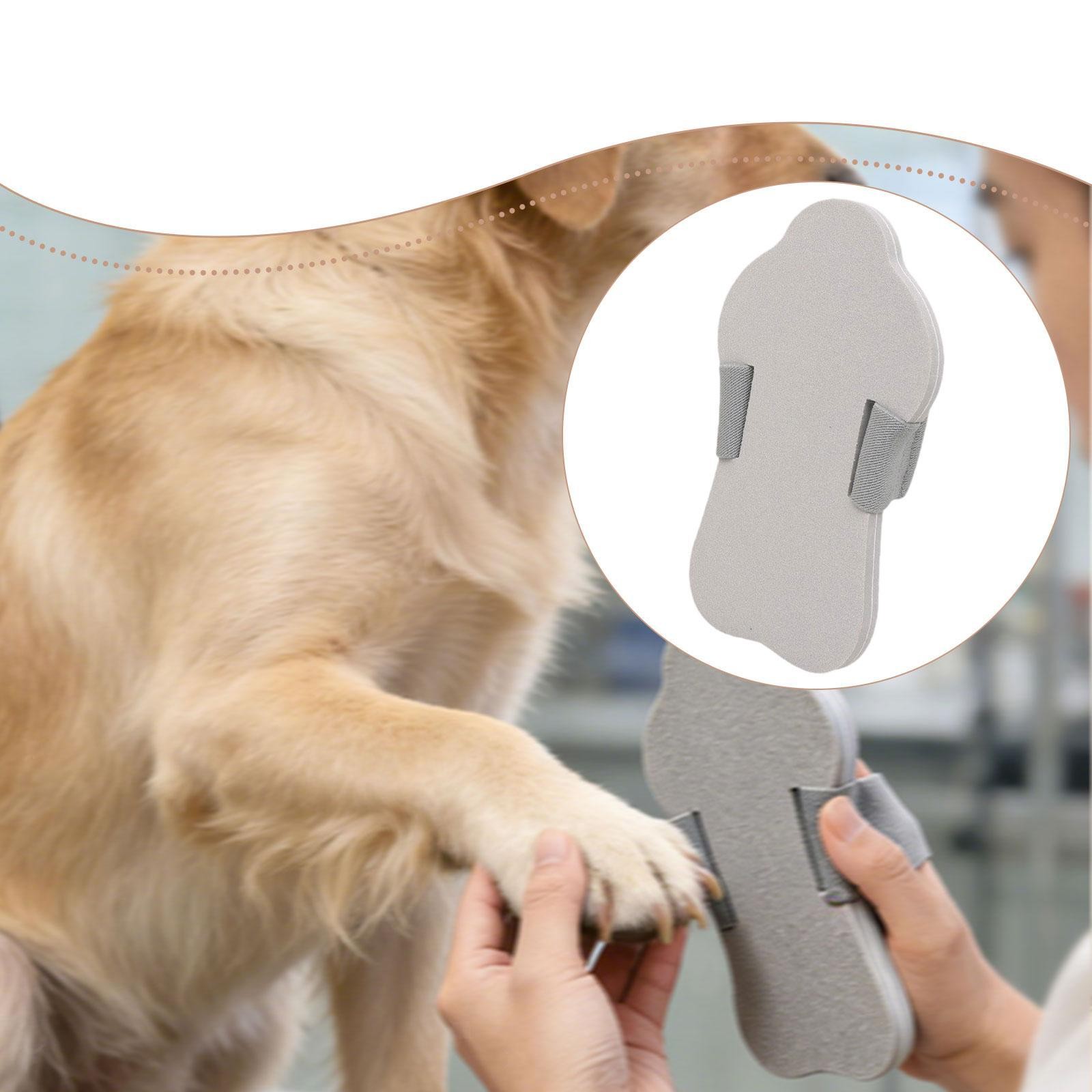 Lima per unghie per cani in EVA, grattaunghie cani e gatti, accessorio