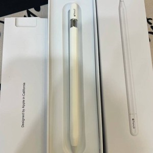Apple Pencil USB C | eBay