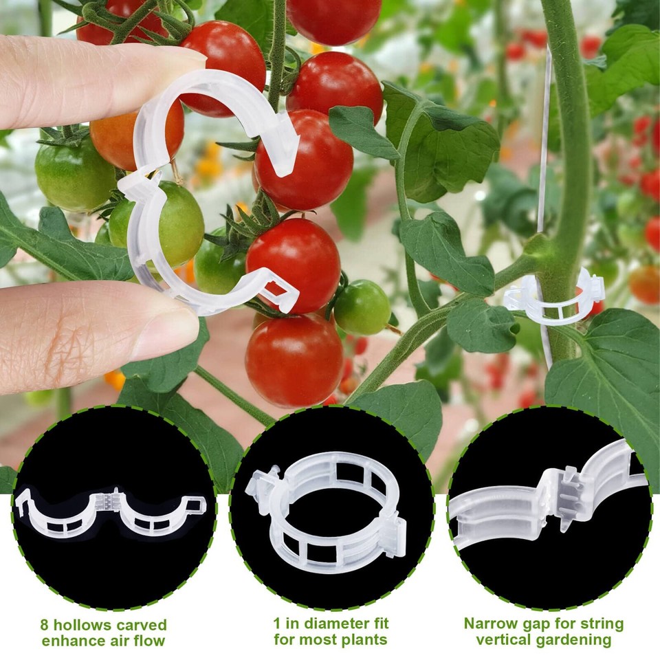 40Pcs Tomato Hooks, Tomato Hooks with String, Tomato Holder Hooks