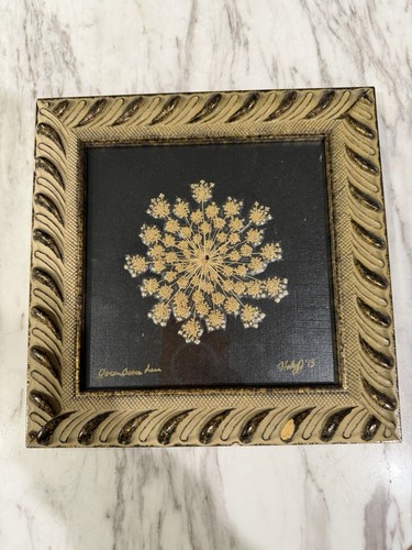 Signed Pressed Botanical Art Queen Anne’s Lace Gold Black Framed Wall Decor 8”