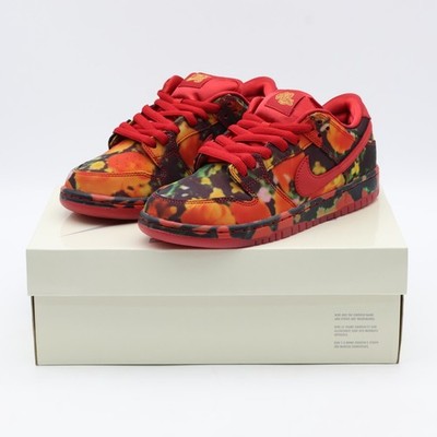 Size 9.5 - The Wizard of Oz x Nike Dunk SB Low Poppy Field for