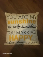 Pillow Cover+Pillow "You Are My Sunshine" Positivity Happiness 17 x 17" Letters