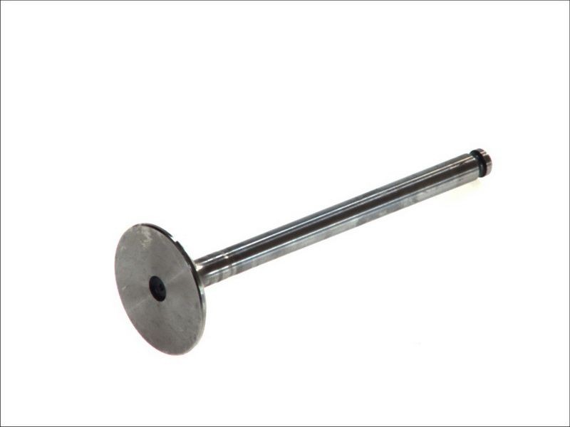 Soupape d'admission FRECCIA R3953/SCR en acier trempé pour FIAT TIPO 1.7
