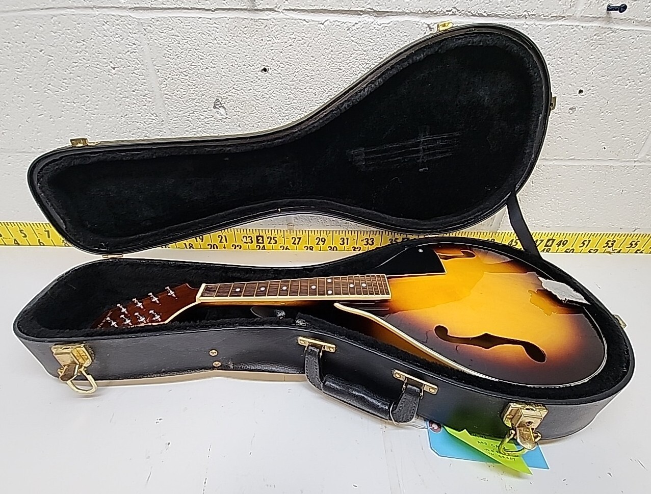 Mint Condition Johnson Oval Hole Mandolin MA100 with Hard Case (SR) eBay