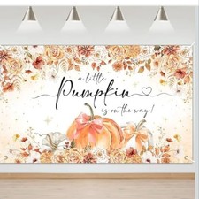 Pumpkin Baby Shower Photo Backdrop Banner Fall Theme Party Decor 70 x 43