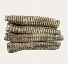 $$BULK SALE$$ 50 Packs 12" Wrapped Beef Trachea Tube for DOGS 100% Natural Bones